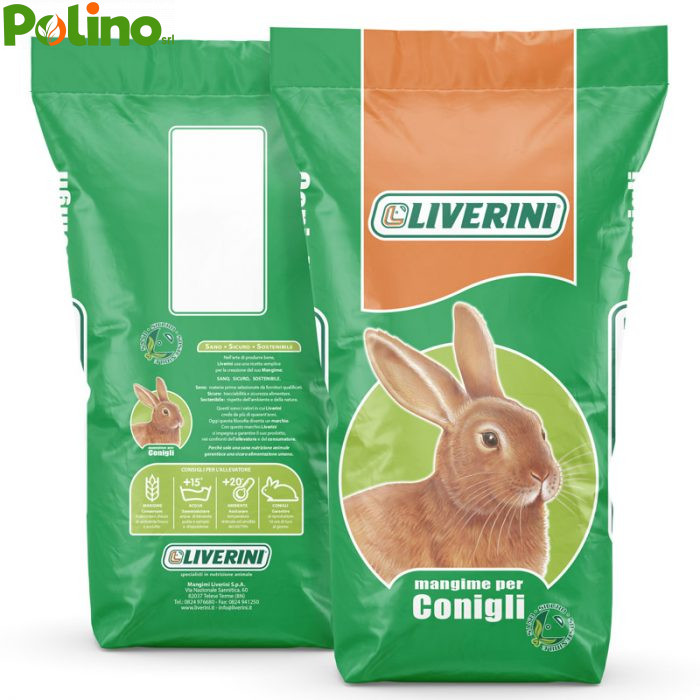 conigli-2