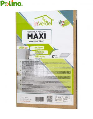 TRAPPOLA ADESIVA MAXI