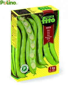 Semi di Fava histal fitò 1kg