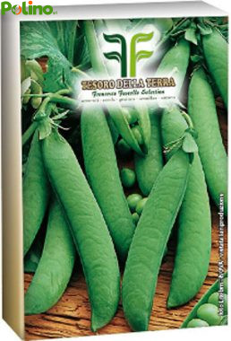 Pisello "Mezza Rama Rondo"