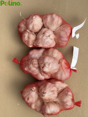 AGLIO DA SEME ROSSO GR .500 SPAGNOLO