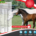 Screenshot 2025-10-21 at 13-26-16 Happy Horse brochure 200x200.ai - HappyHorse_catalogo_web.pdf