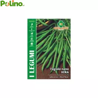 SEMI SEMENTI fagiolino Fagiolo NANO XERA LEGUMI ORTAGGI VERDURE FRUTTI GR.500
