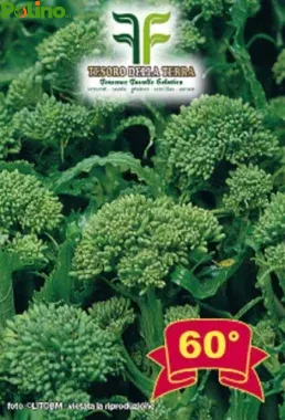 CIMA DI RAPA BROCCOLETTO RICCIO S.MARZANO SEMI 60GG/90GG/120GG GR.100-GR.500
