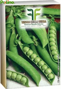 SEMI DI PISELLO piselli NANO-MEZZA RAMA-RAMPICANTE GR.500