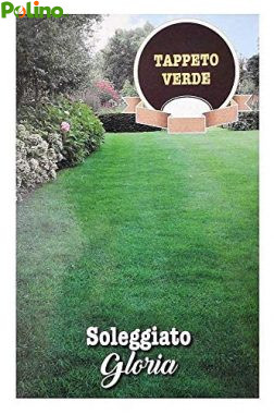 Sementi Prato Soleggiato Gloria
