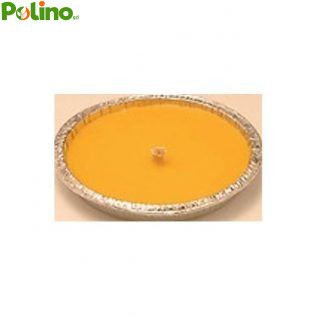 CITRONELLA IN STAGNOLA ANTIVENTO