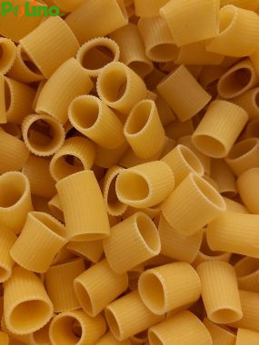 PASTA USO ZOOTECNICO PER CANI,GATTI FORMATO A SCELTA