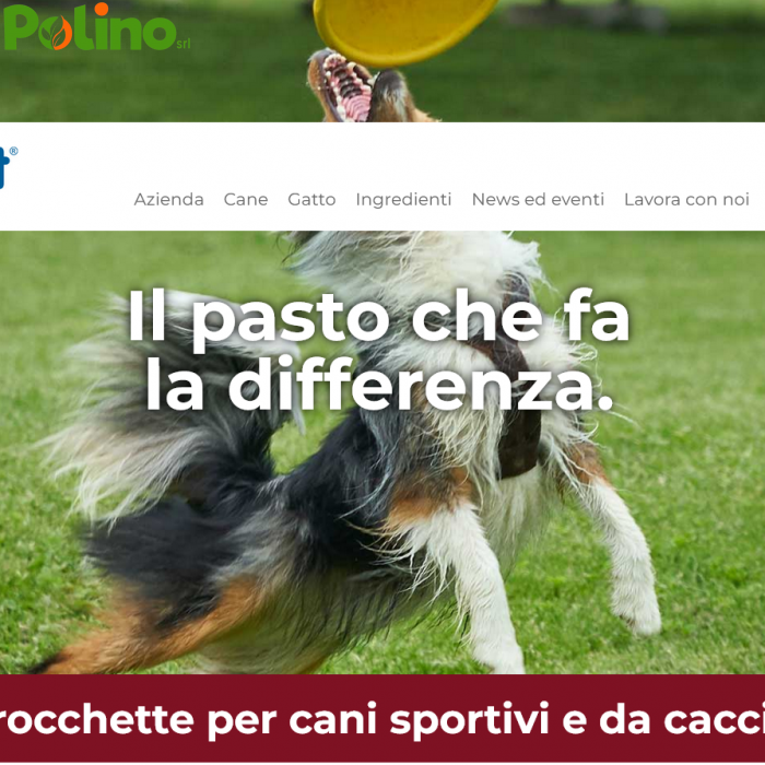 Screenshot 2025-08-11 at 17-09-12 Fidog Vital Power Crocchette per cani sportivi e da caccia