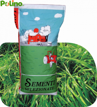 Loietto italico WESTERVOLDICO TETRAPLOIDE KG.25